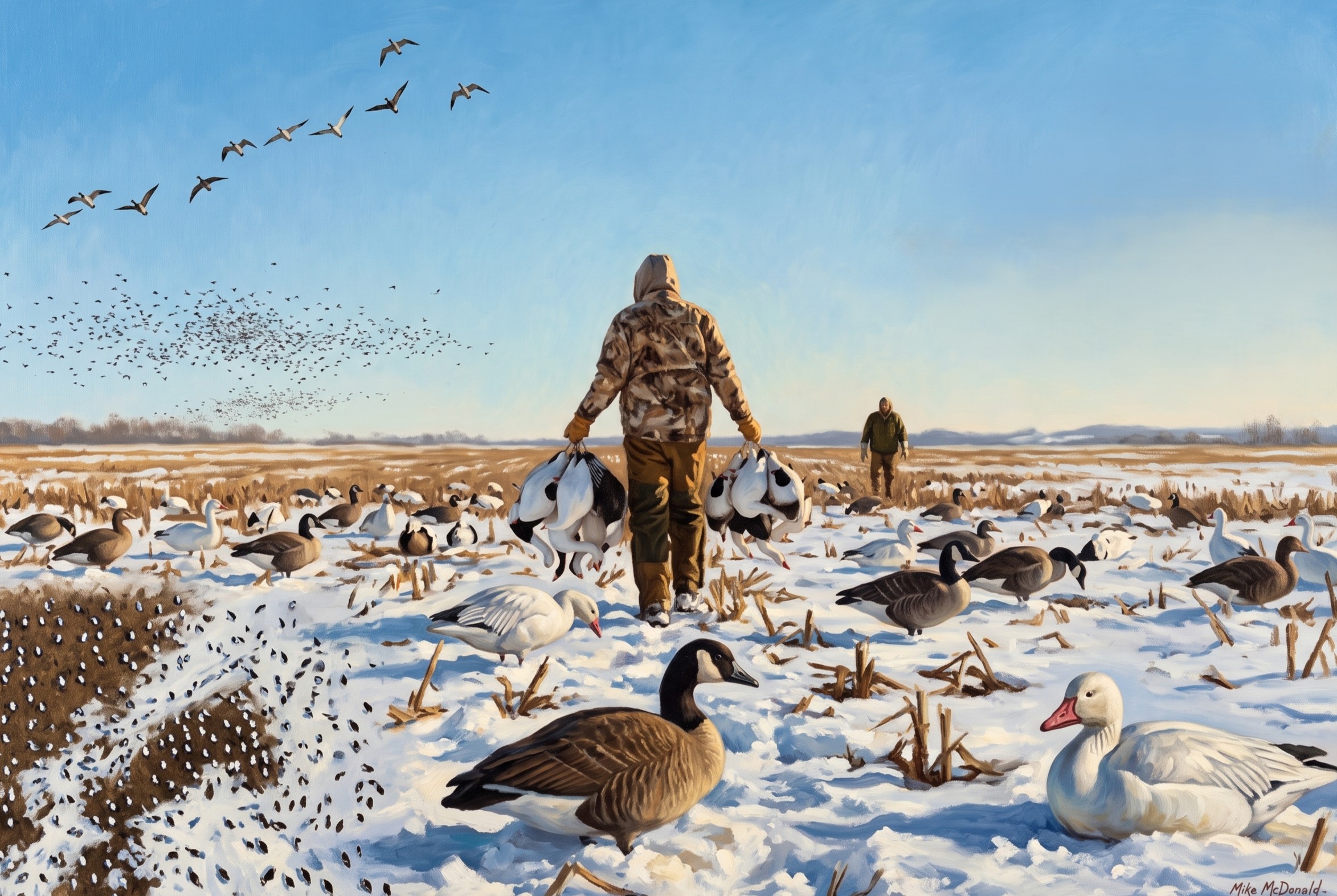 Snow goose hunt
